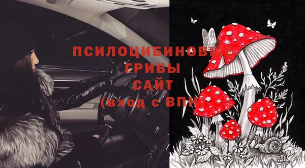 метадон Богородицк
