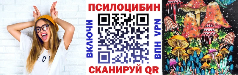 Псилоцибиновые грибы прущие грибы  где найти   Городовиковск 